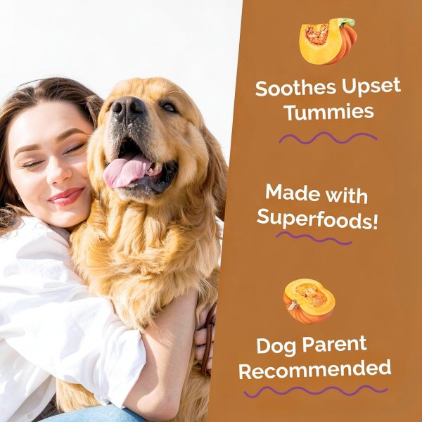 Top Dog Treats Pumpkin Fiber Supplement for Dog Digestive-1