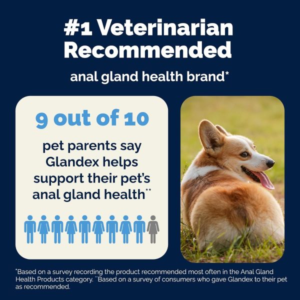 Glandex Anal Gland Support Dog Supplement Vetnique-7