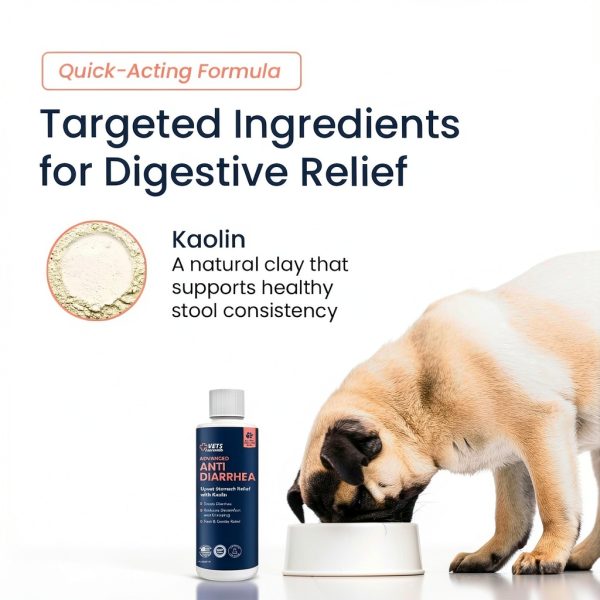 Dog Diarrhea Medication Vets Preferred Fiber-2