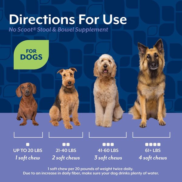 NaturVet No Scoot Dog Supplement Anal Gland Support Chews-6