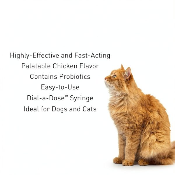 Vetoquinol Pro-Pectalin Oral Paste Dog Cat Diarrhea Relief-2