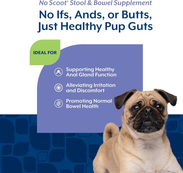 NaturVet No Scoot Dog Supplement Anal Gland Support Chews-4