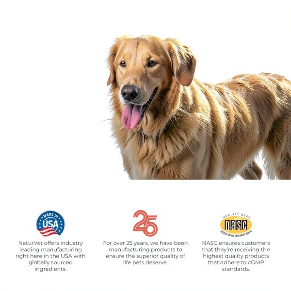 NaturVet Digestive Chews for Dogs 11oz Biscuits-8