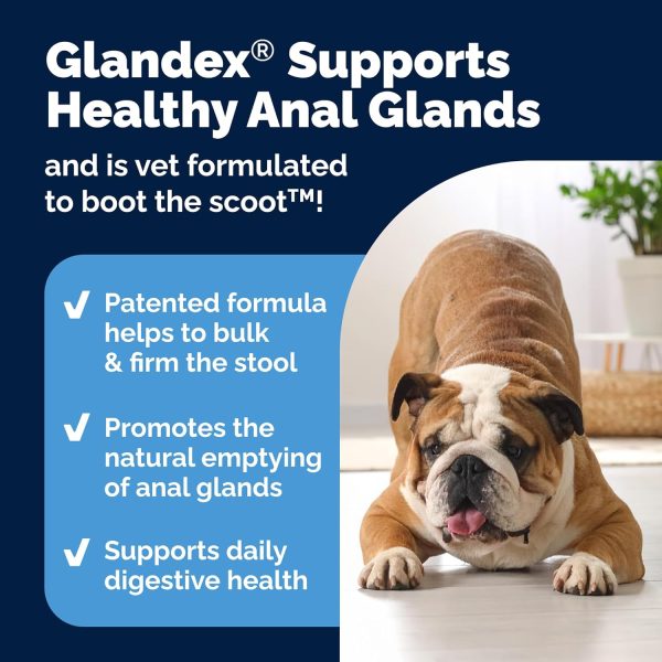 Glandex Anal Gland Support Dog Supplement Vetnique-3