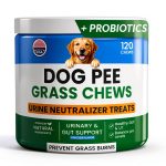 PAWFECTCHEW Dog Urine Neutralizer Chews Green Lawn Solution-0
