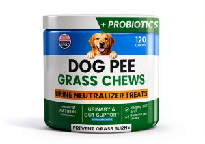 PAWFECTCHEW Dog Urine Neutralizer Chews Green Lawn Solution-0