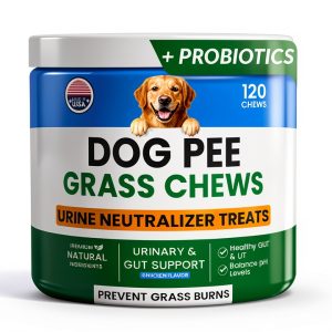 PAWFECTCHEW Dog Urine Neutralizer Chews Green Lawn Solution-0