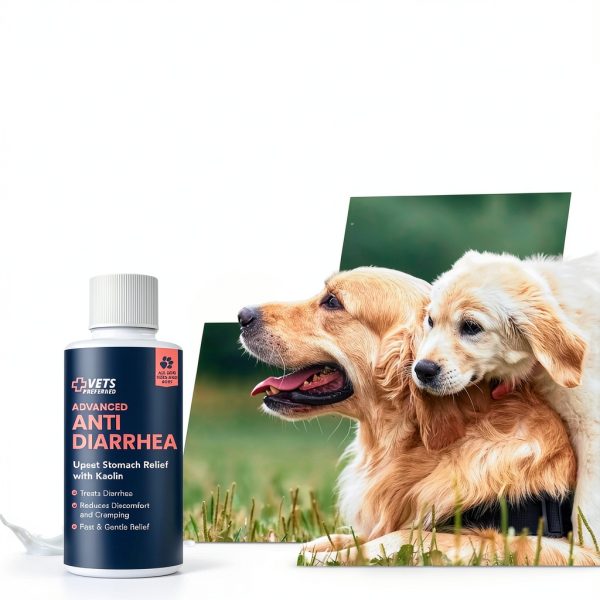 Dog Diarrhea Medication Vets Preferred Fiber-4