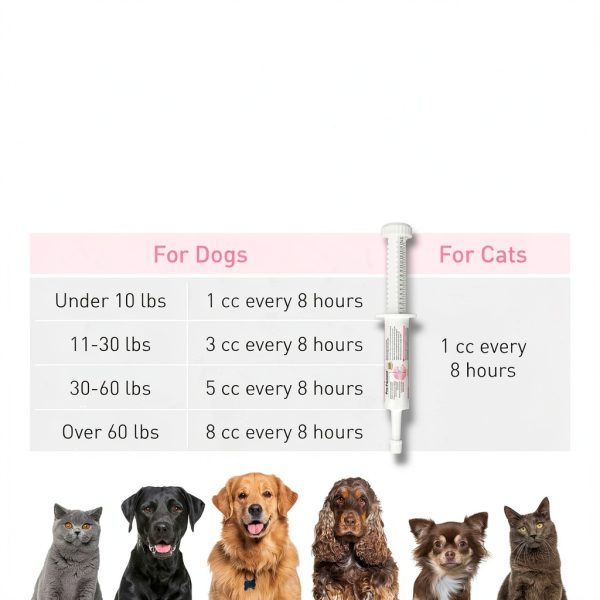 Vetoquinol Pro-Pectalin Oral Paste Dog Cat Diarrhea Relief-5