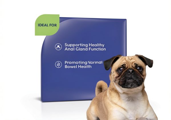 NaturVet No Scoot Dog Supplement Anal Gland Health Soft-3